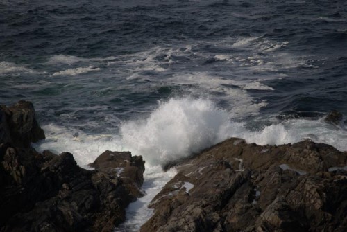 Meer1