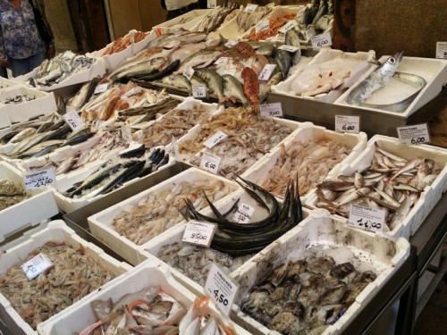 Bologna_Fische