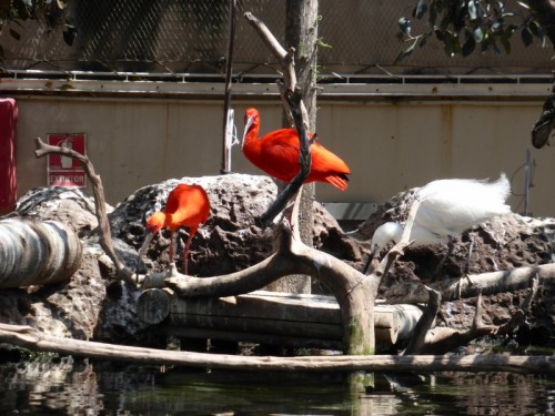 Valencia_Oceanografic2