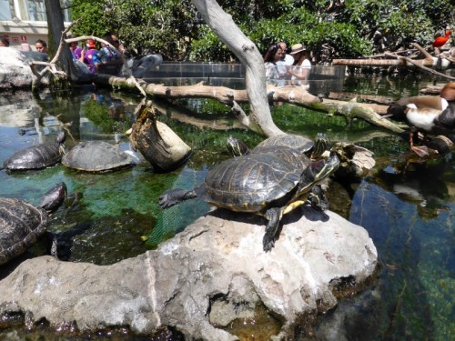 Valencia_Oceanografic3