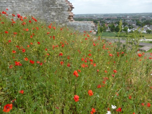 Maastricht13