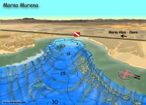 Marsa Murena