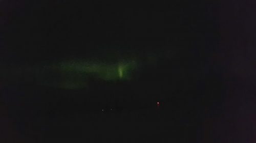 Unsere ersten Nordlichter (Dank Petra!)