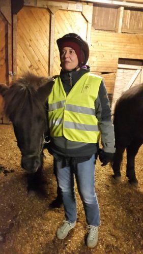 Nächster komischer Anzug mit Sif, dem Islandpony.