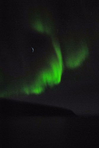 Nordlicht nördlich von Tromso