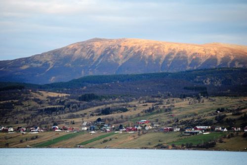 Mitten im Fjord eine landwirtschaftlich genutzte Insel.